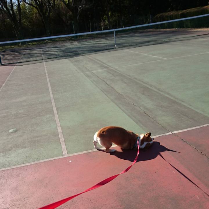 950bcedf 8f94 48a6 ad66 1db0bc5cae6e 1610103692020