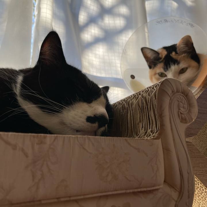 950bdeec 73a8 49ef 8663 32f9025779ad 1672359654538