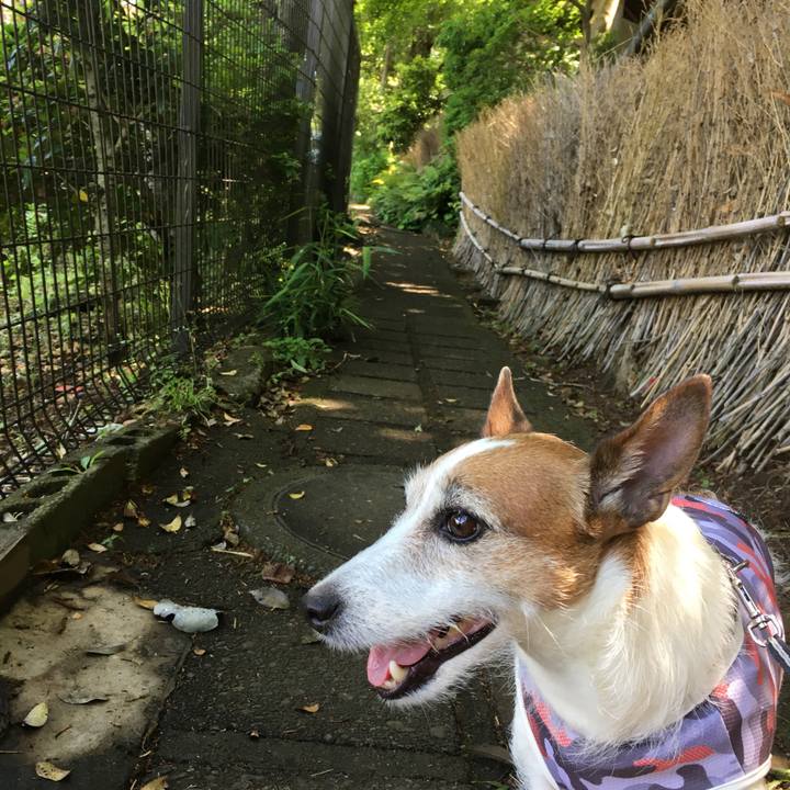 950bef91 3ca4 4e4e 9c5f 66ff5e87e329 1589679478902