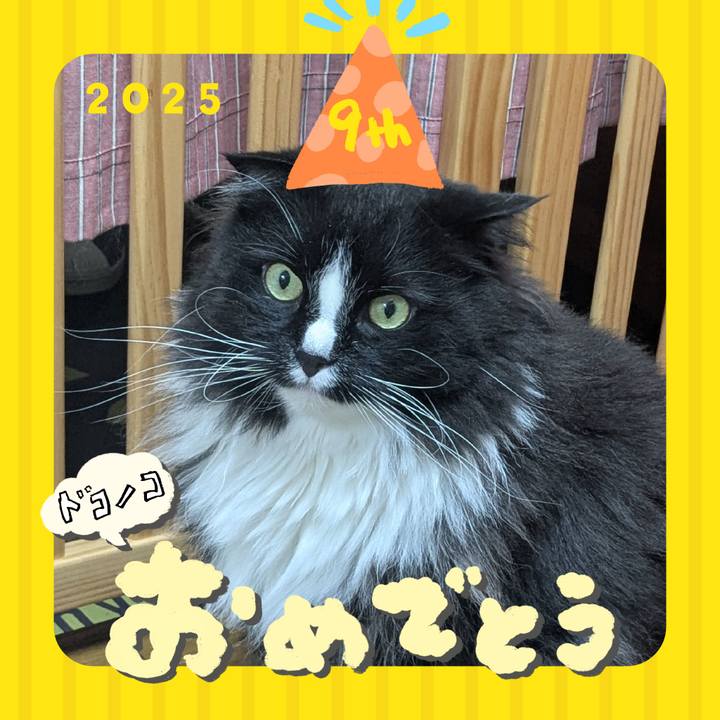 950bf592 256f 4286 ad84 b17d1e26be19 1749297383044