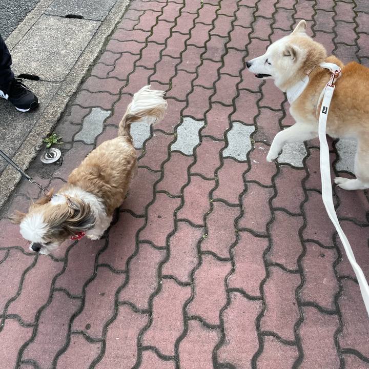 950c4a73 0dd5 4e31 8454 02471302b49c 1680410071580