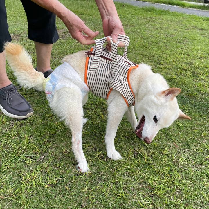 950cbefe 02be 44ac b4e4 21e3f3fdbfbe 1664884792398