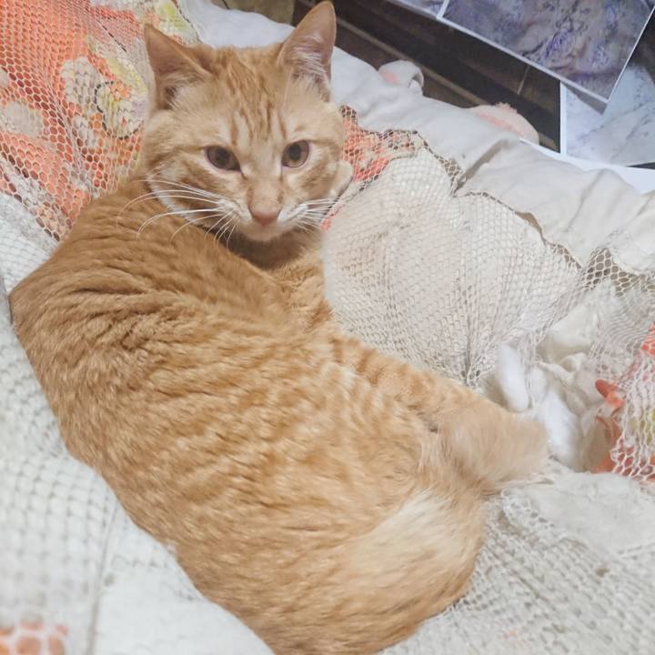 950cbf6f e248 4e05 a214 ef3b4ac9cbc6 1645996944965