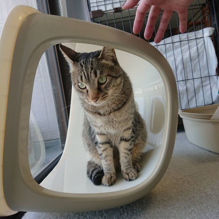 950cce9f 5688 486f bb66 7d365f484956 1555722813199