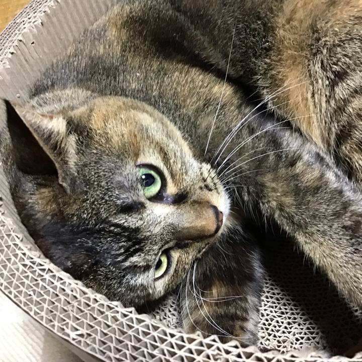 950cdd63 0725 4da3 bdb5 f44bc3bba483 1701434372806