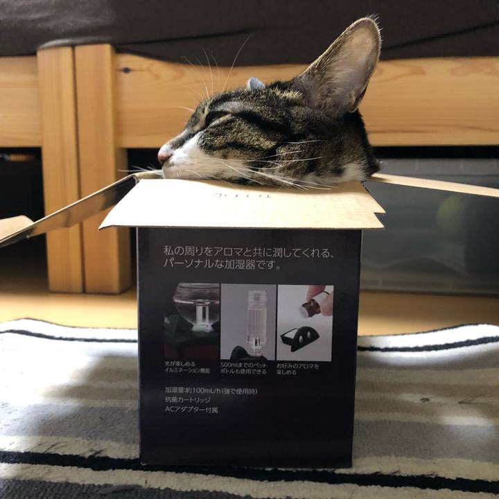 950cdd85 1a20 44a9 90cd e3e3c46be6bb 1611957026950