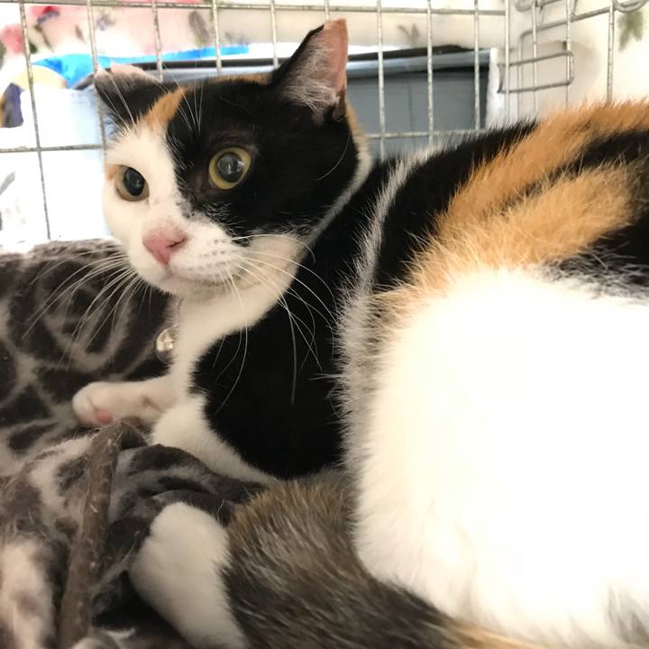 950ce9ac e723 4f57 af6e 73a05d9d4d7b 1523769341764