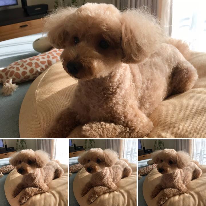 950cf56b 0845 41d5 9f25 6023452395ff 1598860058087