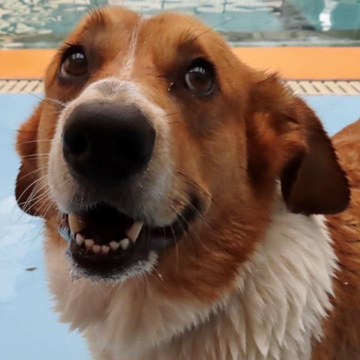 950d1fe0 a258 4ea4 be4d 7d1b47716505 1700702389689