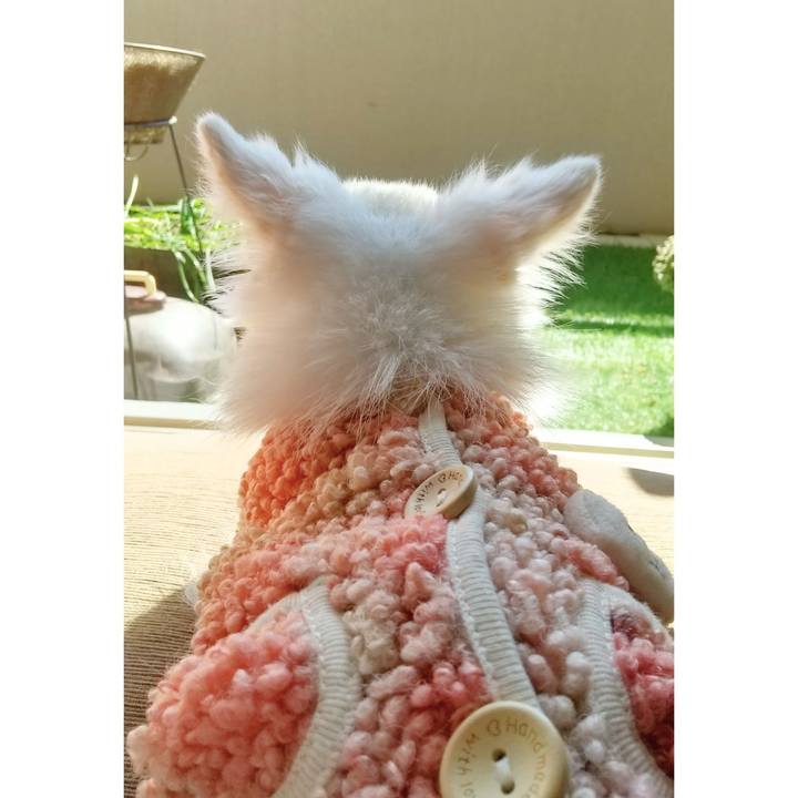 950d2368 871b 4839 86a5 028d23f8f92d 1645848161717