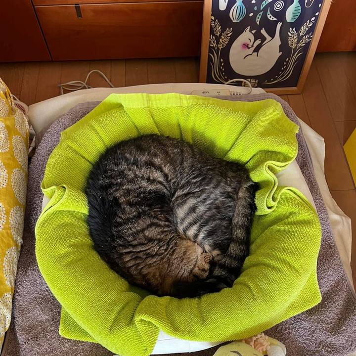 950d2a89 1927 43ff 824a 58d58721fa24 1764547996097