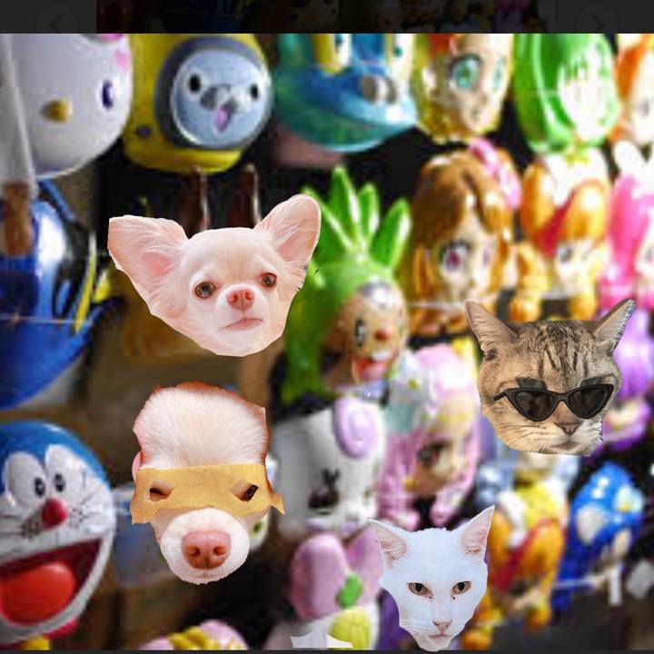 950d71e6 c351 4a14 af41 c9effd88928e 1661597645995