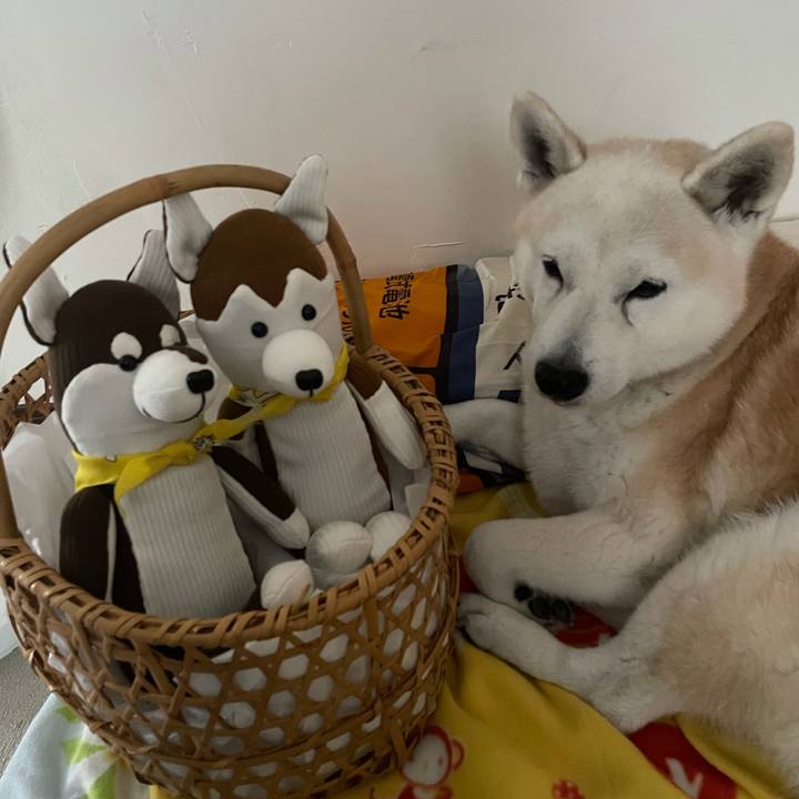 950d7d32 7687 407e b699 bb2c7af716d1 1635041420226