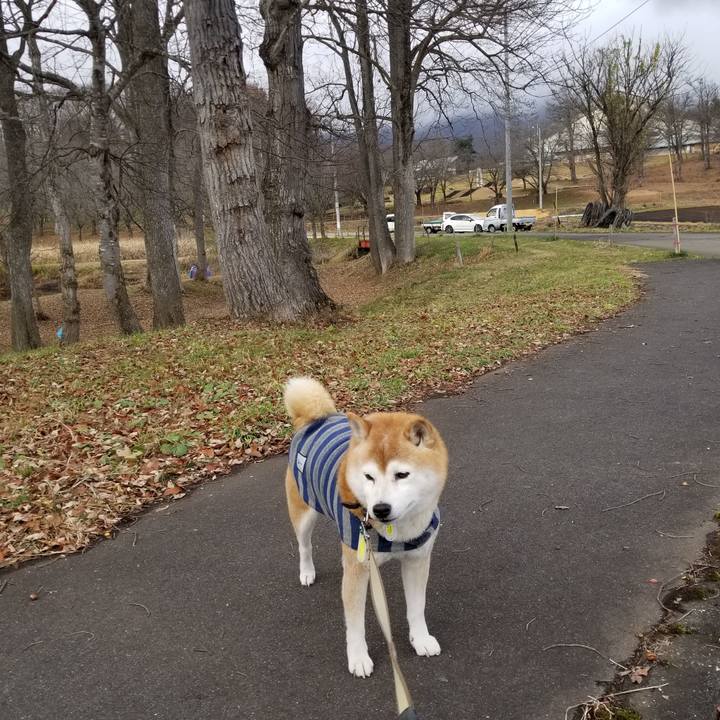 950da822 49ad 4c73 9b9c d4e481d74552 1670733640564