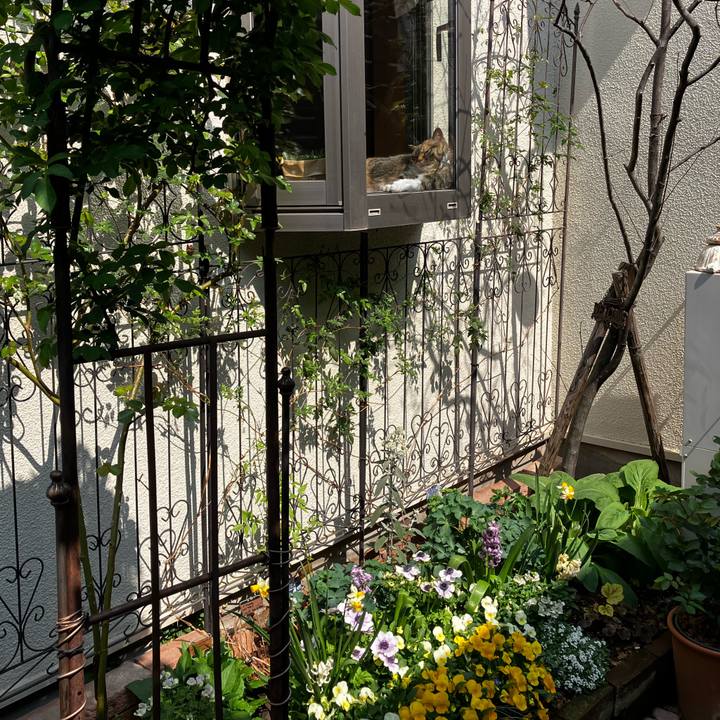 950ddcbc 2ad0 424b 9d7c 7f8ad71f169e 1774752348067