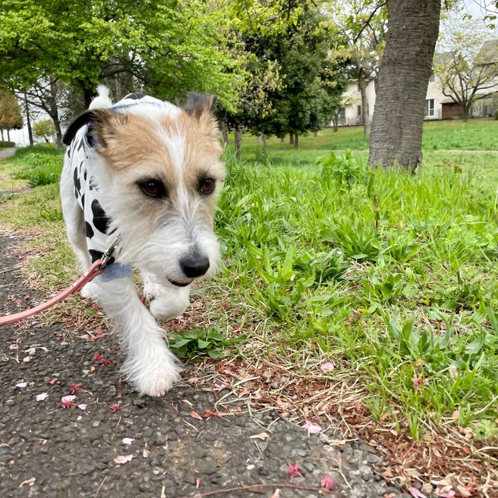 950df0f7 6ded 4f4f bade 03e6adee0cee 1679905047265