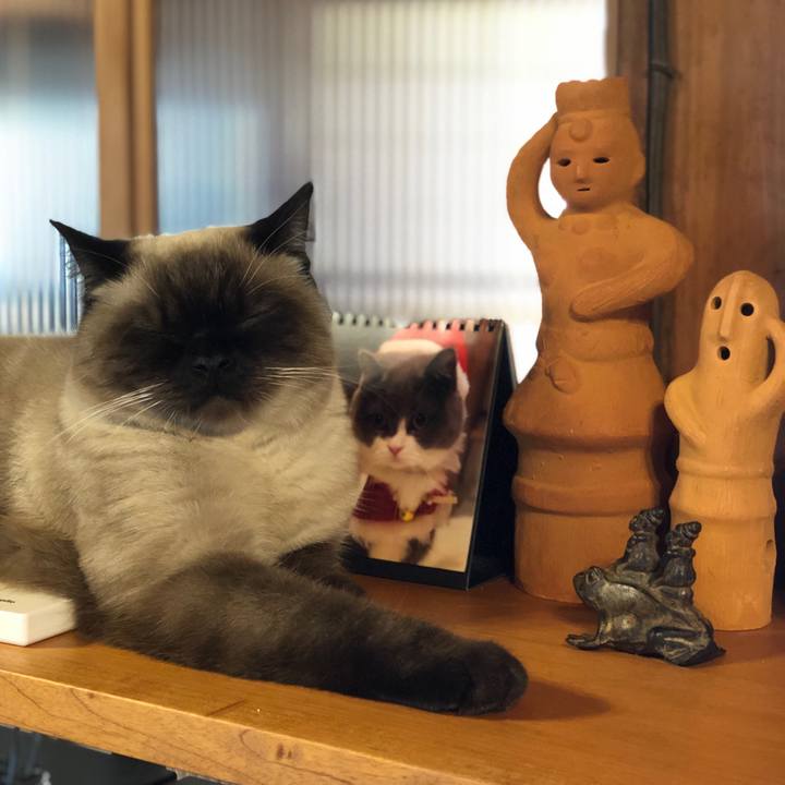 950e0d3f 824c 4b24 9790 c2c80c0a0df5 1607215825663