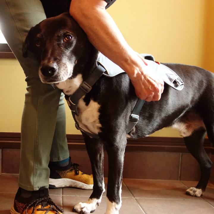 950e1184 11a7 48b8 a610 a877690583d1 1747269530786