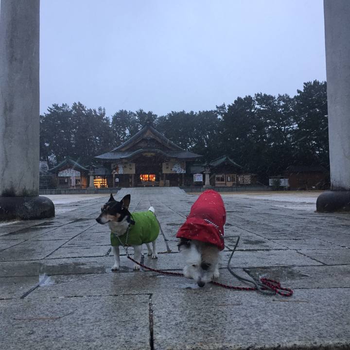 950e33a5 12a2 498e 8fef 45b3982df815 1515626772072