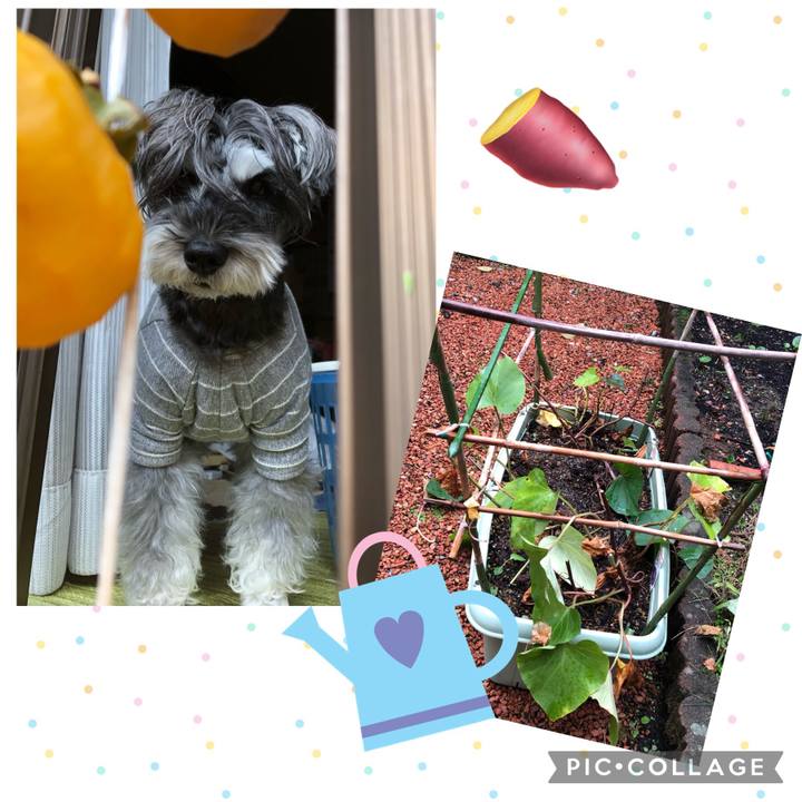 950e75b7 bc48 4223 a42a b4292b82670e 1698541001256