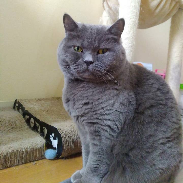 950e87b6 d3f8 4903 8353 8248f9802e01 1587452585812