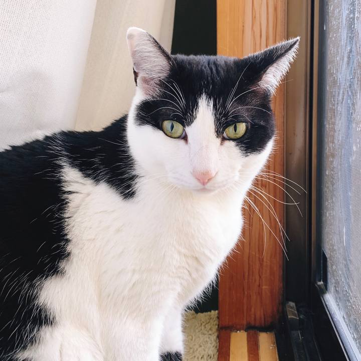 950eaf5a ac2d 48b4 ad6a 76c68b2639b0 1555209393053