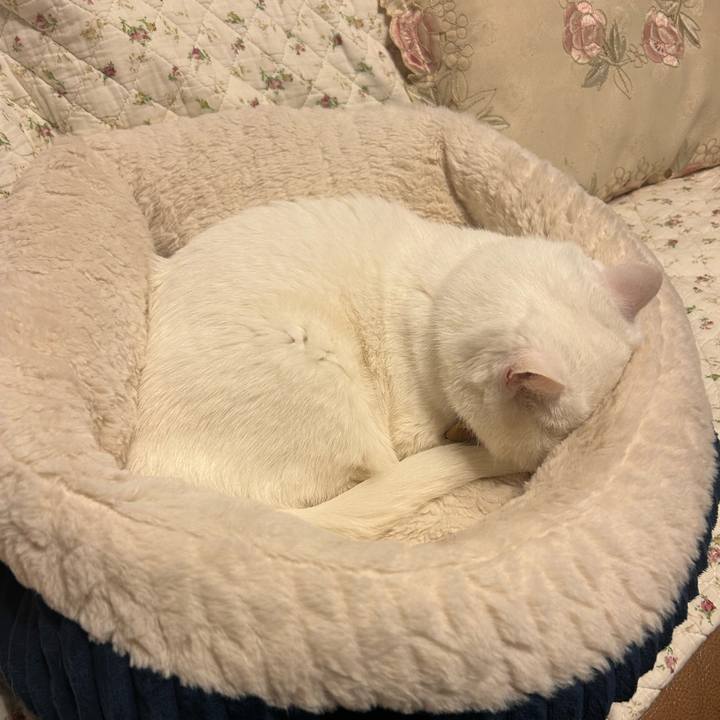 950ec384 0ea2 417d 8086 d085b5e79f58 1768427696064