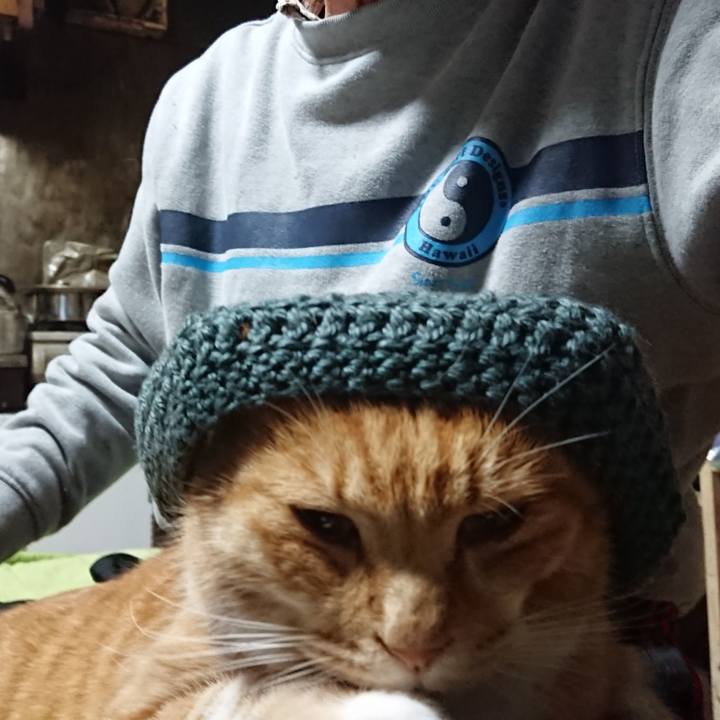 950ec447 a912 4ae1 85bb 7f5beb7f9913 1607891929564