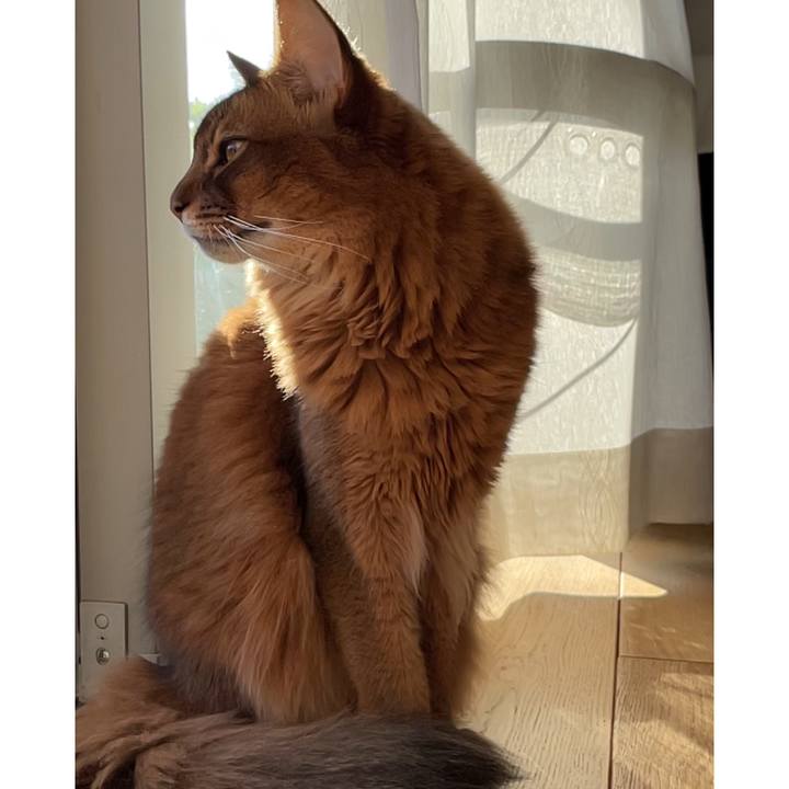 950f098c c07d 46be aeea 84a9d4f464ae 1698042443798