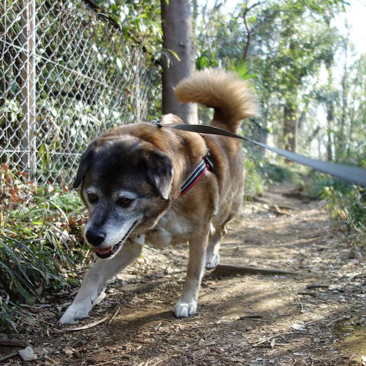 950f0cfd 03e7 4955 9fed 9200d5ef65cf 1553648225794