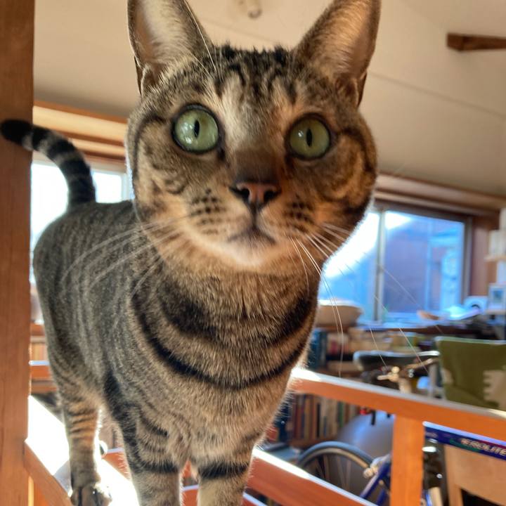 950f148e 1fe7 477f ba41 e766b4e40ae1 1707609721042