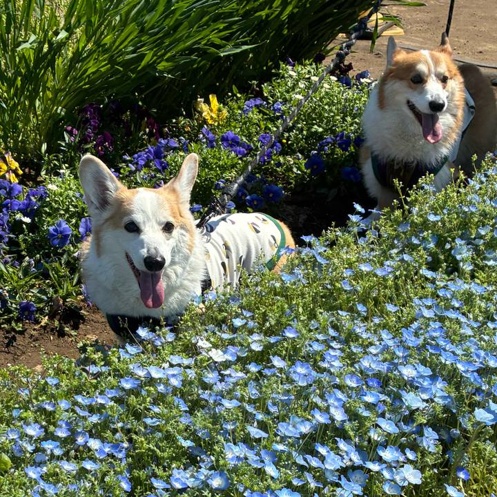 950f1a9c ec27 443d 8613 12de7e450f23 1775640210564