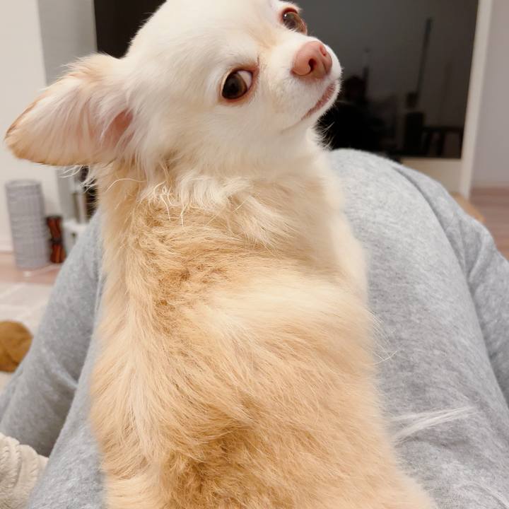 950f258c 699e 46e2 b653 556326f2f95e 1706357592663