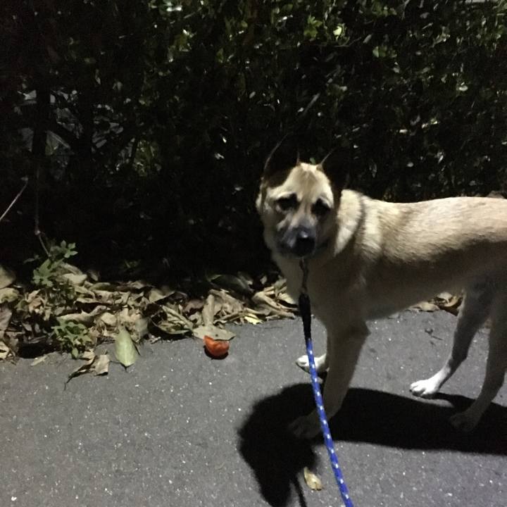 950f27a0 d0b1 43a1 a22a 490abb822a6b 1511520356306