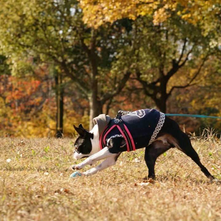 950f44fc 1cc7 4d4d 80f8 123d3b81faee 1512290665155