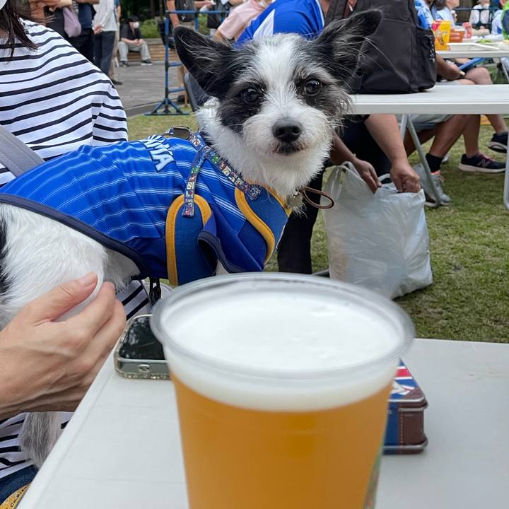 950f6768 5562 4375 9a12 e3f64cc95713 1661680163052