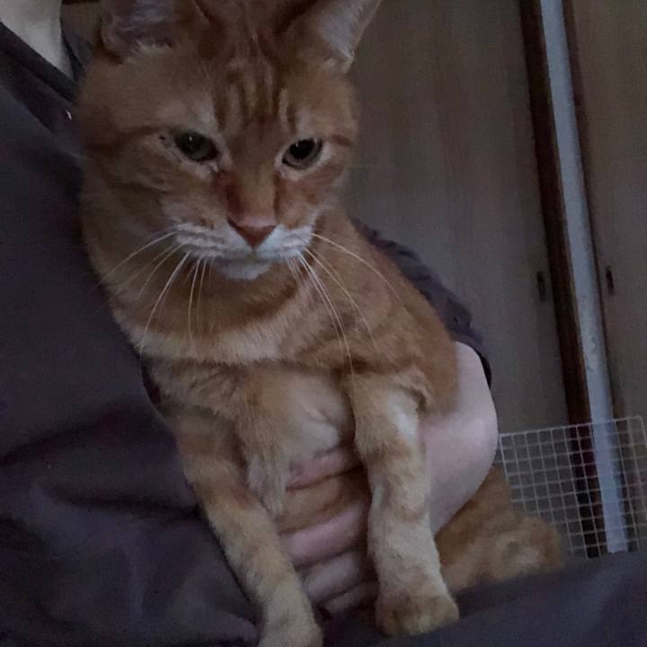 950f9bcf f9be 4369 bd8f 7c345a3cf5ad 1674979286976