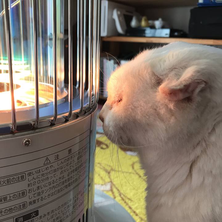 950fa76b c034 4dc1 bb04 fe26b2ada88f 1517119604566