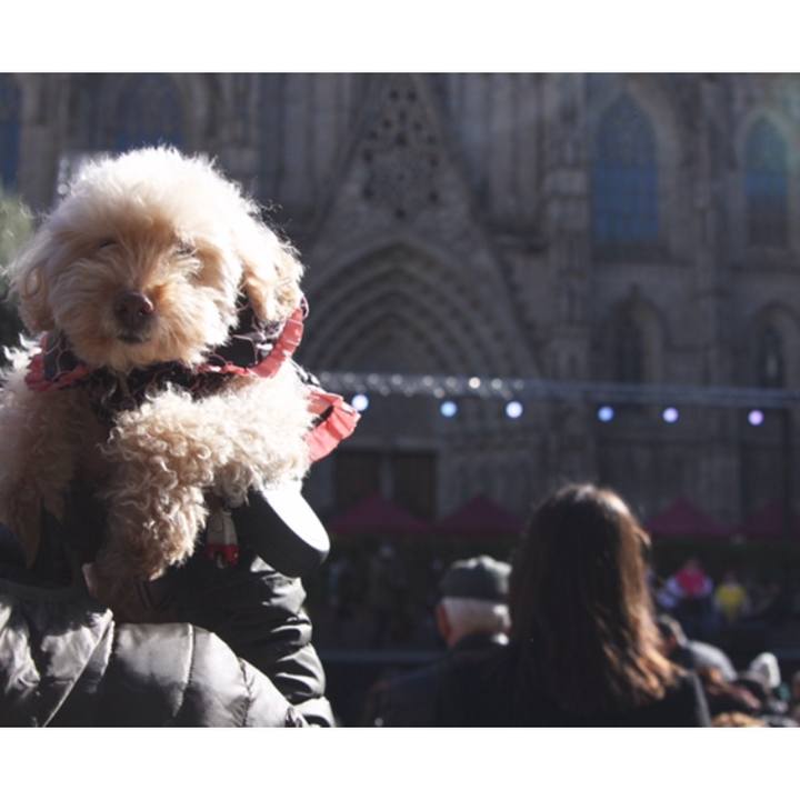 950fafe2 530d 4fa1 b363 e7fb229c8f6e 1518304218992