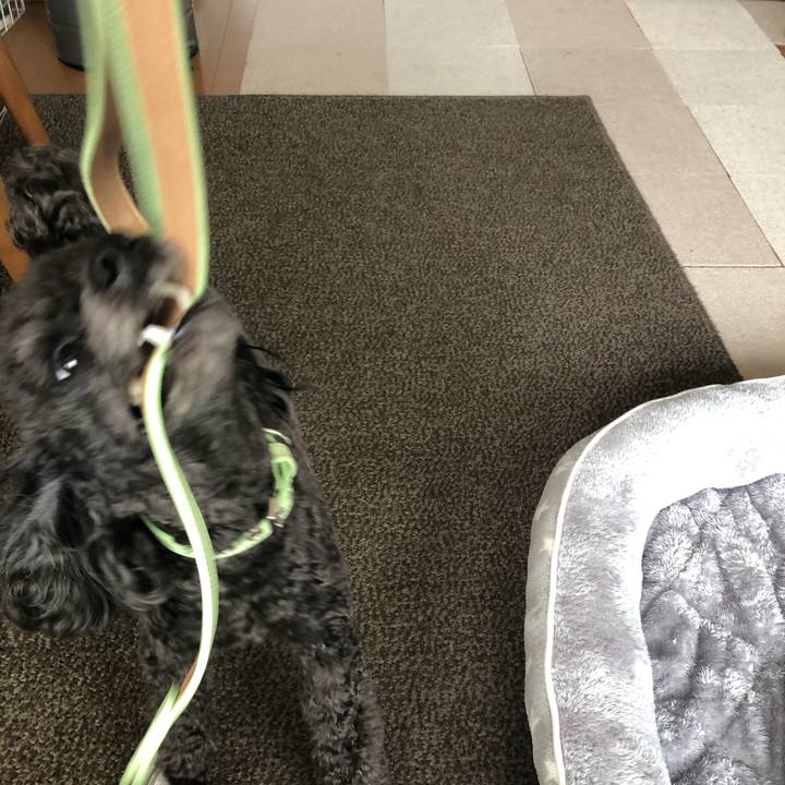 950fb0dc efd6 4d99 8800 c1947f4d98a3 1588425589482