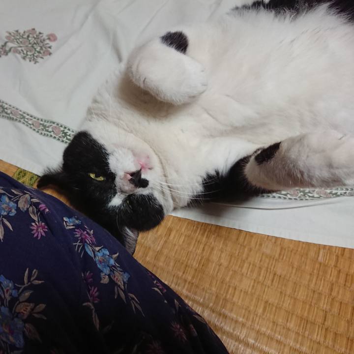 950fb120 1c80 444d a729 f9a955584318 1600936892986