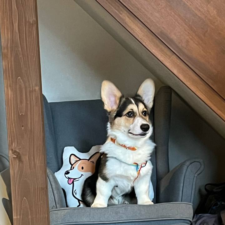 950ff058 f040 4c5f 82ab bea4c1d69902 1775293169226