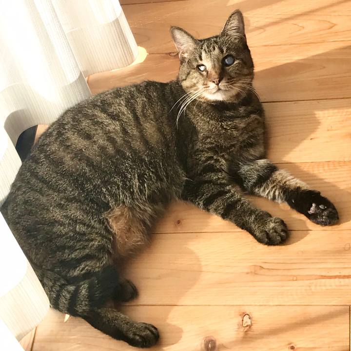 951001c9 e332 4f17 a15a 195b70b53811 1576220853800