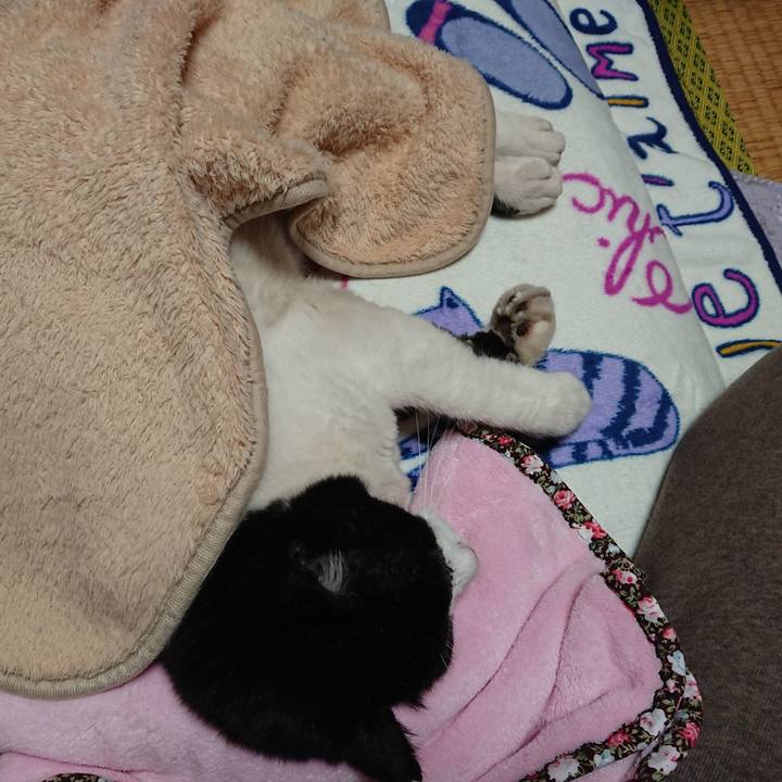 9510196d 20b5 4889 8855 7c3ed88310c2 1636980303650