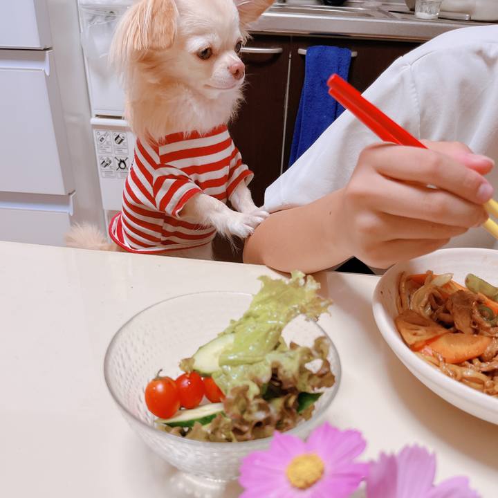 95101c41 ed2e 4675 9fb1 e4baf69f052d 1664454666450