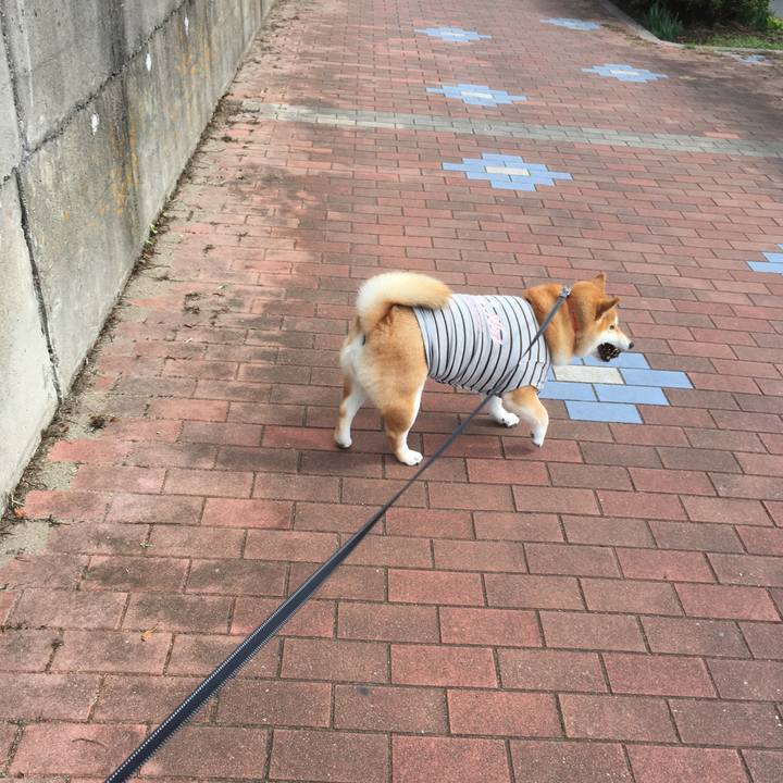 95101e4e dc0a 48ef a2bc 2dae053e9bf6 1540005310640