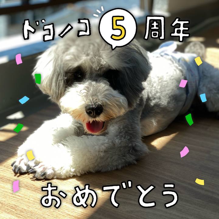 951027bf 22ea 462d 96e0 de36507b97ff 1623293945537