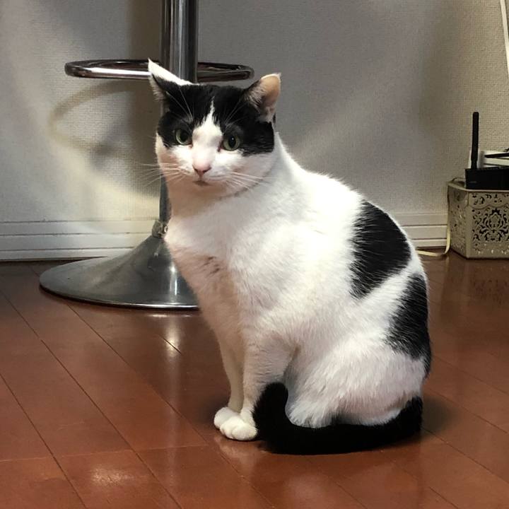 95108b98 a689 4c57 a38f 89e19c20e646 1578891328579