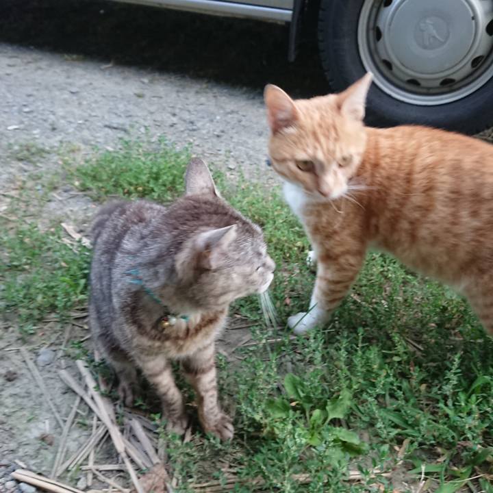 9510abeb a61d 47fa b52f aeec9309ff66 1562578824454