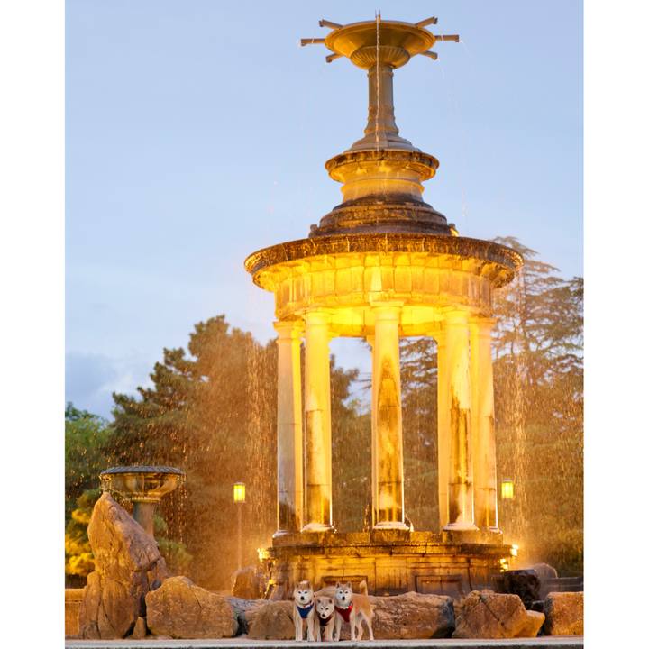 9510b291 bf45 4fd0 aaad 4c840c4ab570 1760973979186